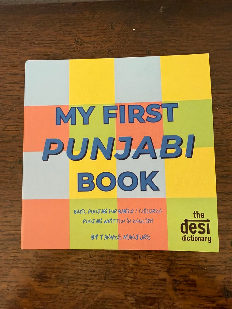 Punjabi First Words Book